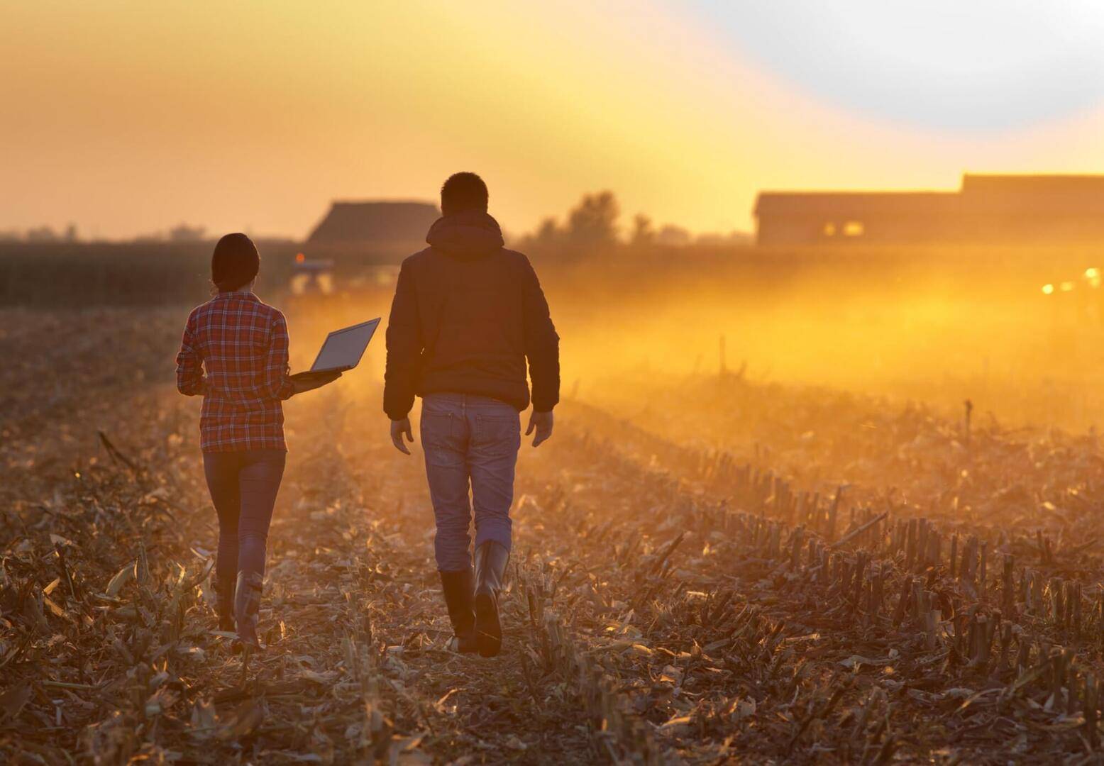 Farmland Auction