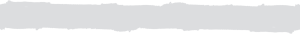 Divider Photo