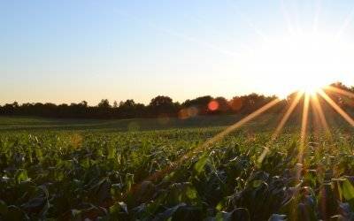 Safely Sell Farmland | Lessons Learned Through The Years