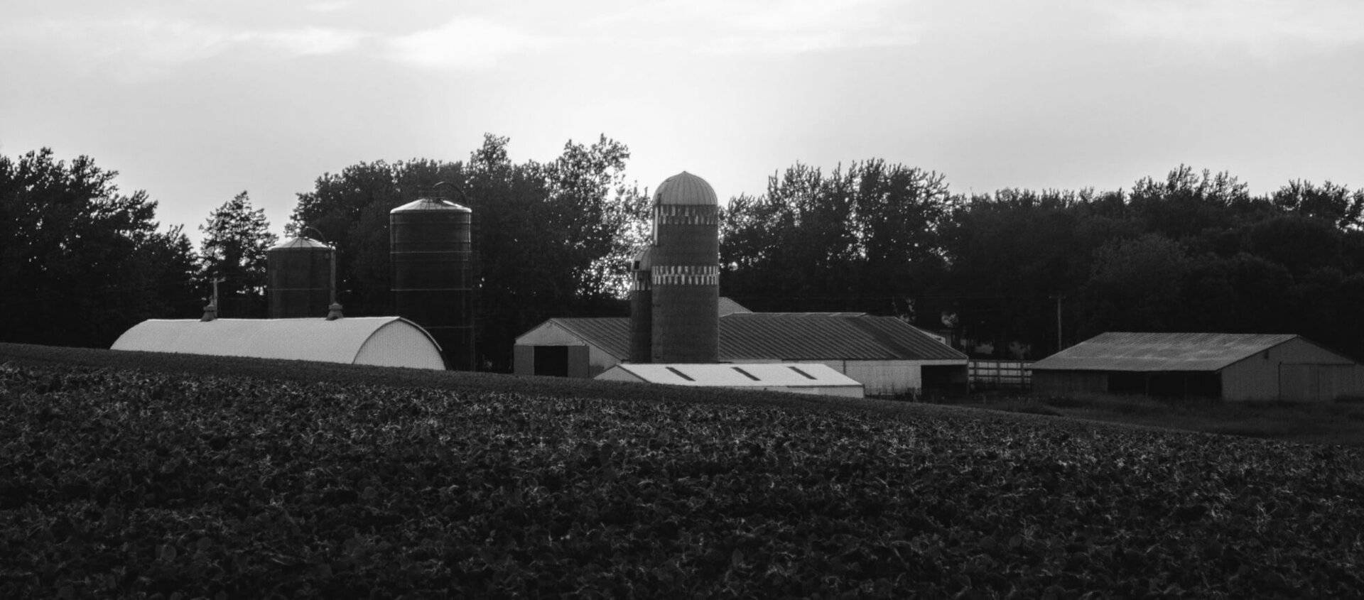 Panoramic photo of a farm with silos.