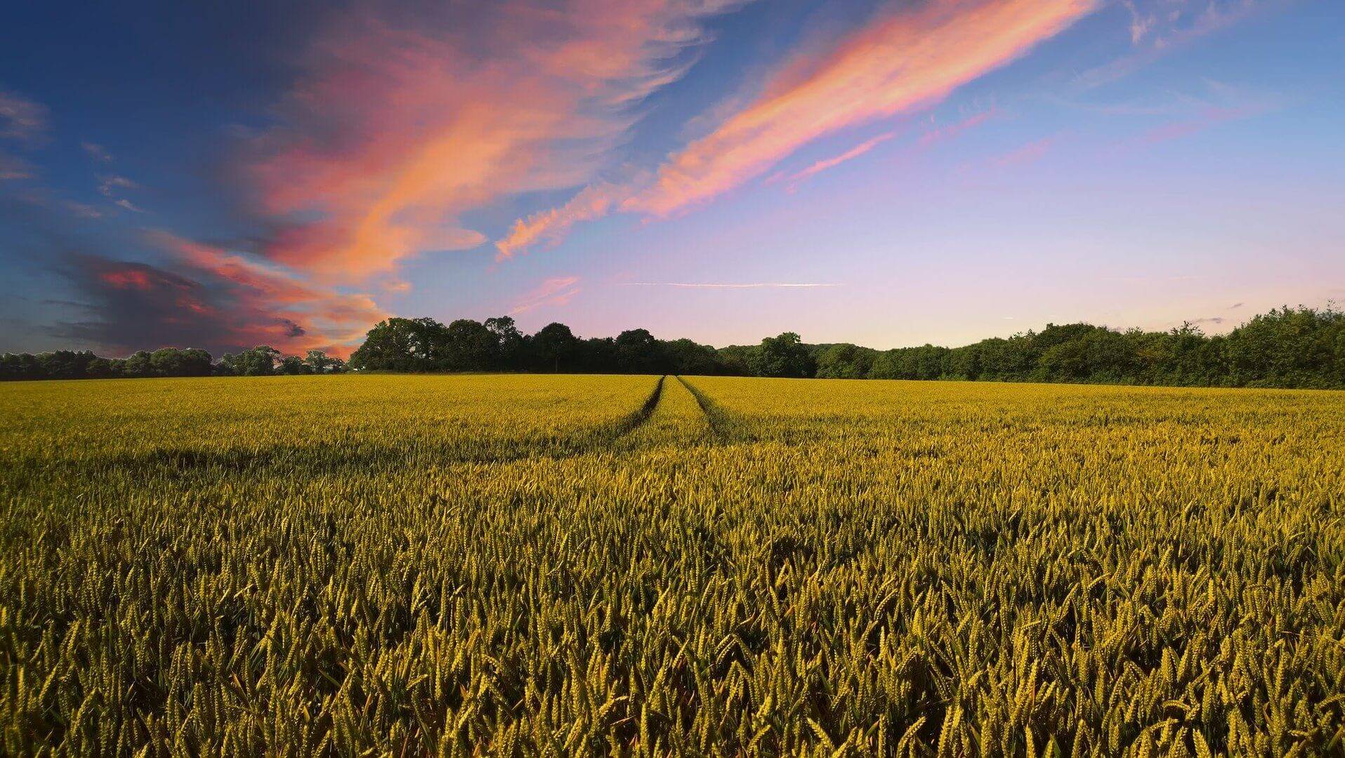 A photo of a countryside with a sunset.