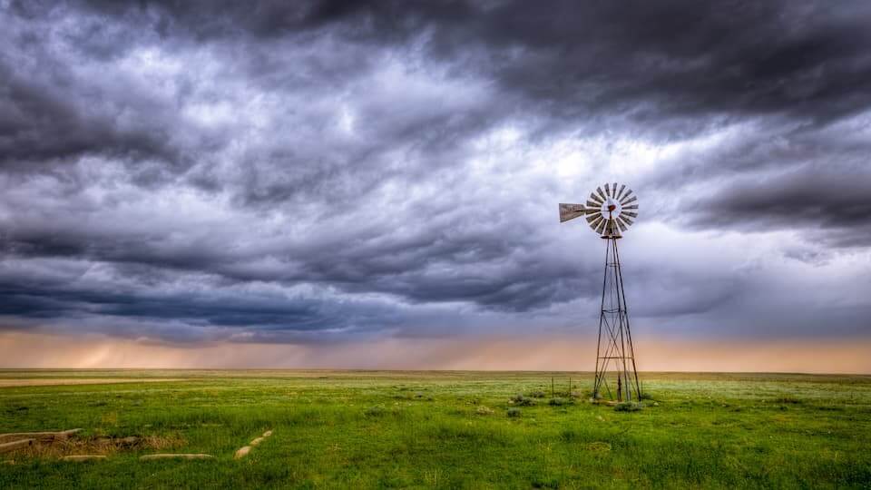 A lush green field with windmill.