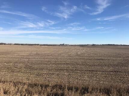 Photo of a wide open field in Iowa