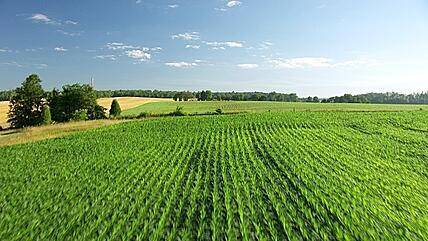 Iowa Farmland For Sale