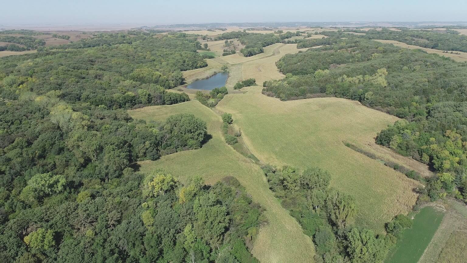 aerial view farm