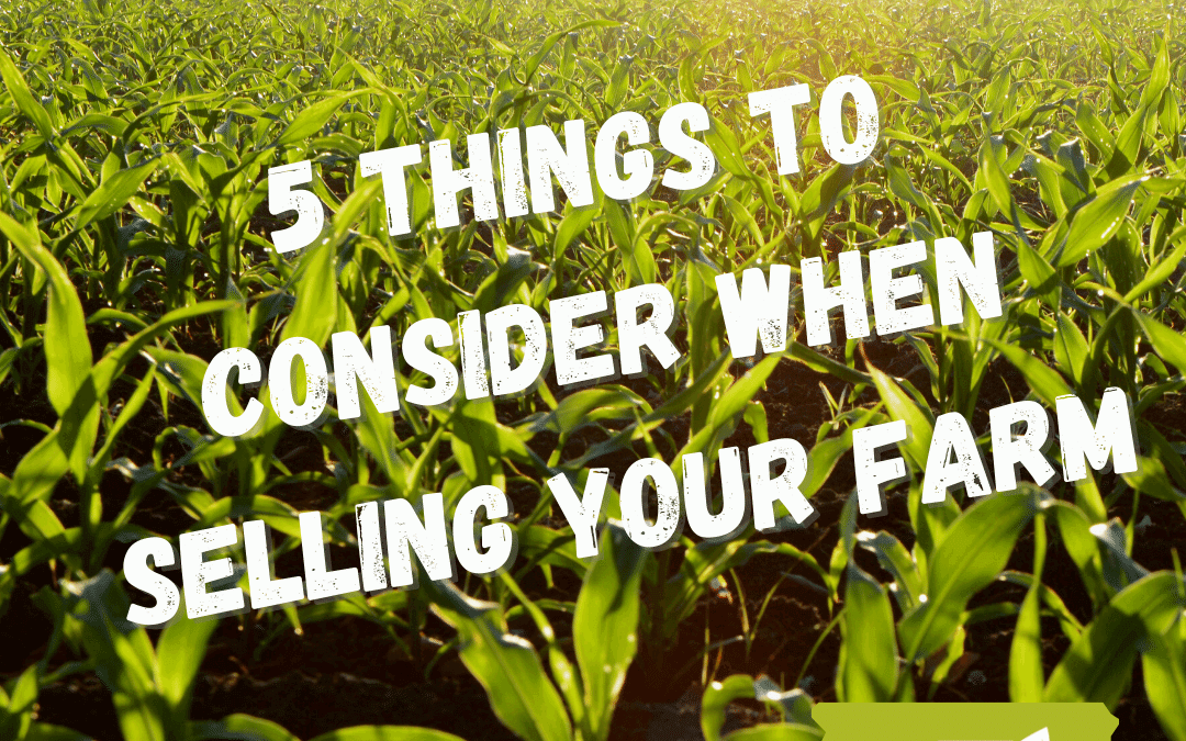 5 Things To Consider When Selling Your Farm