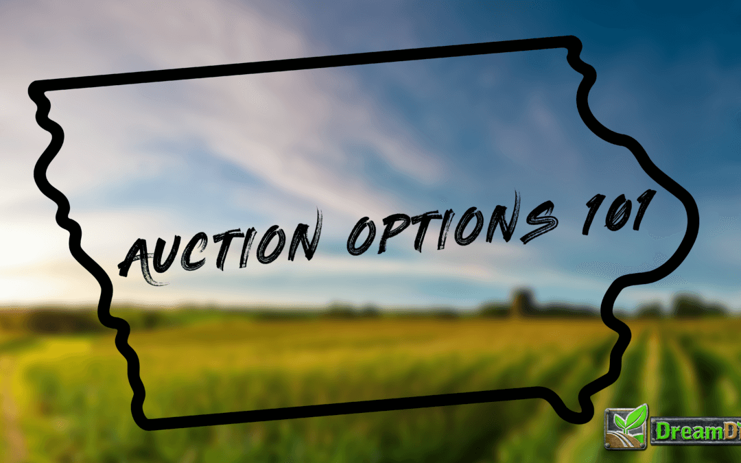 Auction Options 101