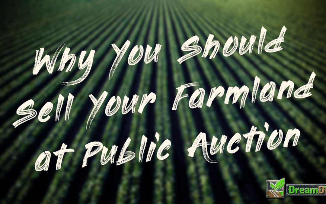 Why You Should Sell Your Farmland at Public Auction