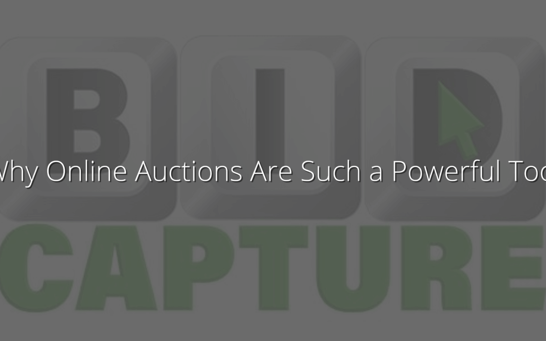 Why Online Auctions Are Such a Powerful Tool