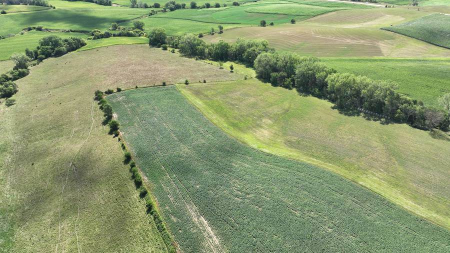 farmland auction sign