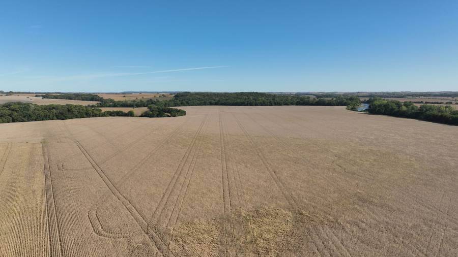 image of farmland to be sold