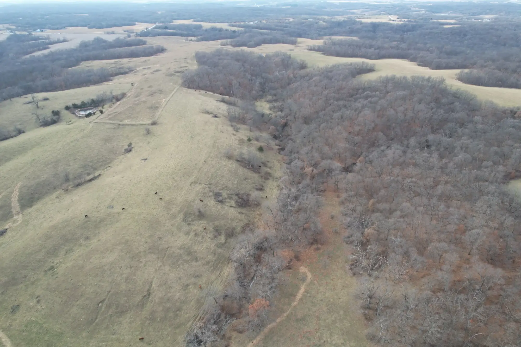 image of farmland to be sold