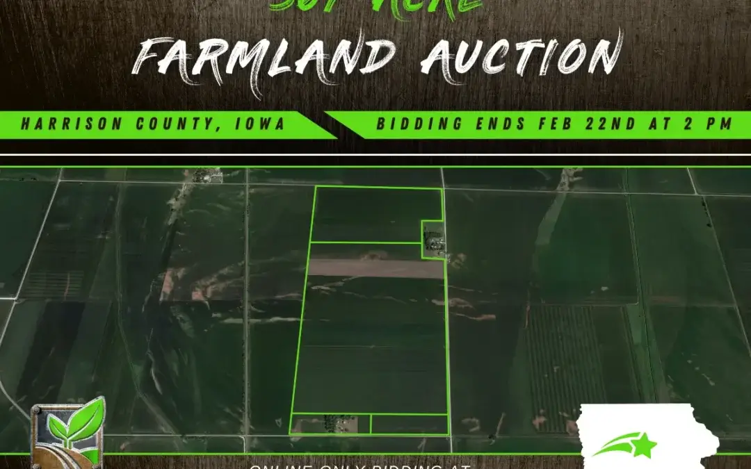307 Acre Farmland Auction in Harrison County, Iowa