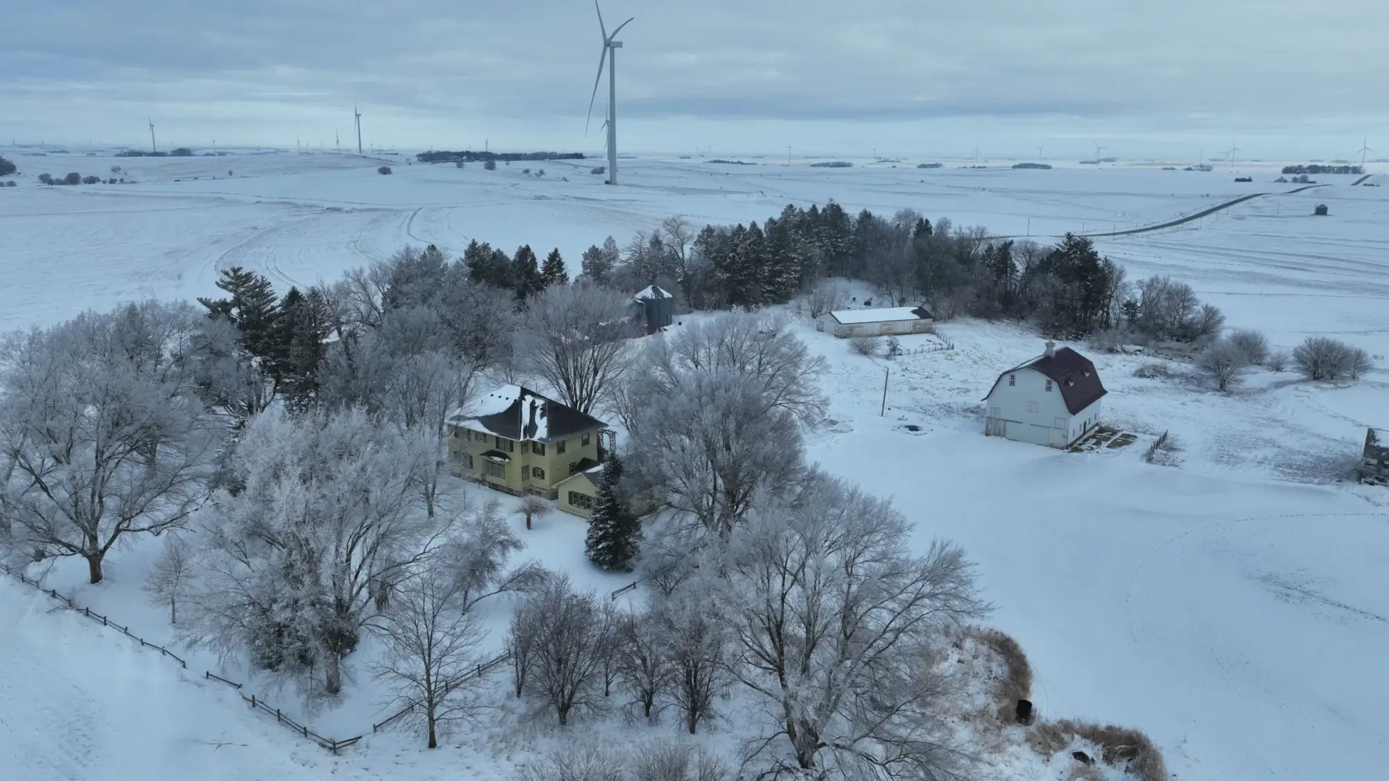 image of farmland to be sold