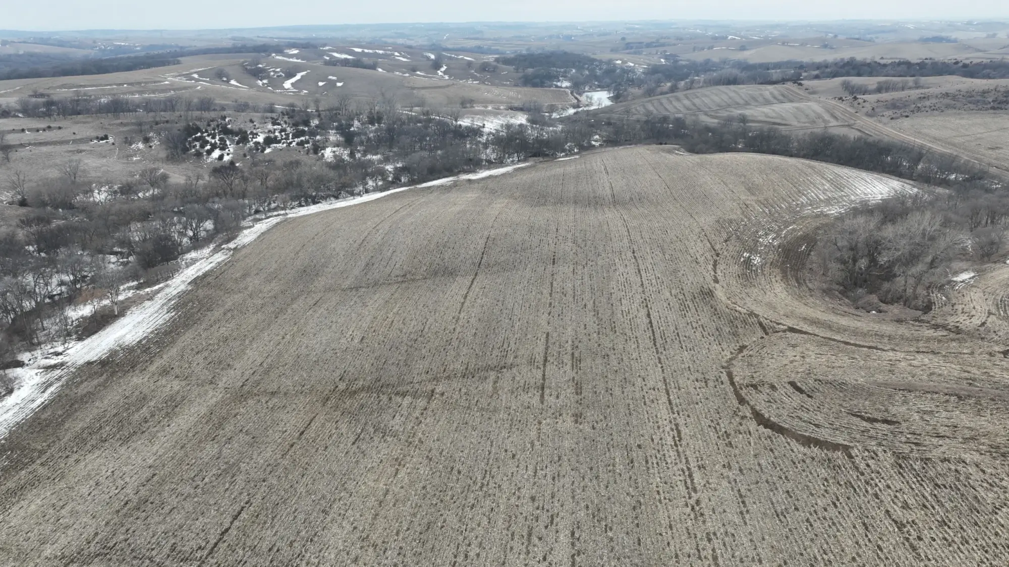 image of farmland to be sold