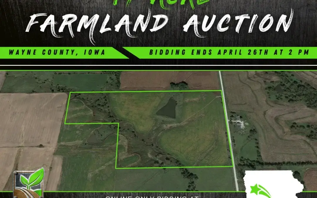 49 Acre Farmland For Sale in Wayne County, Iowa