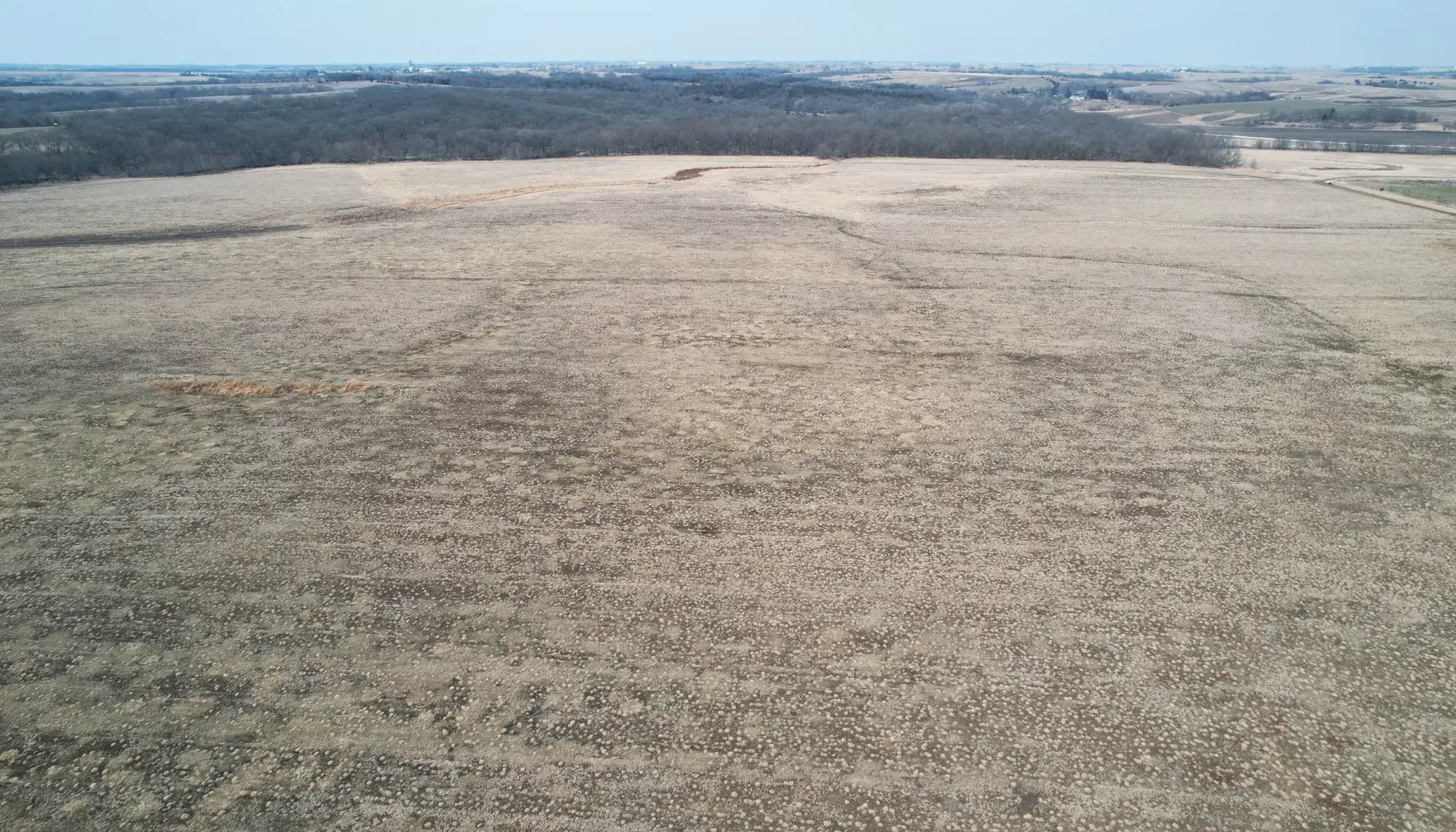 image of farmland to be sold