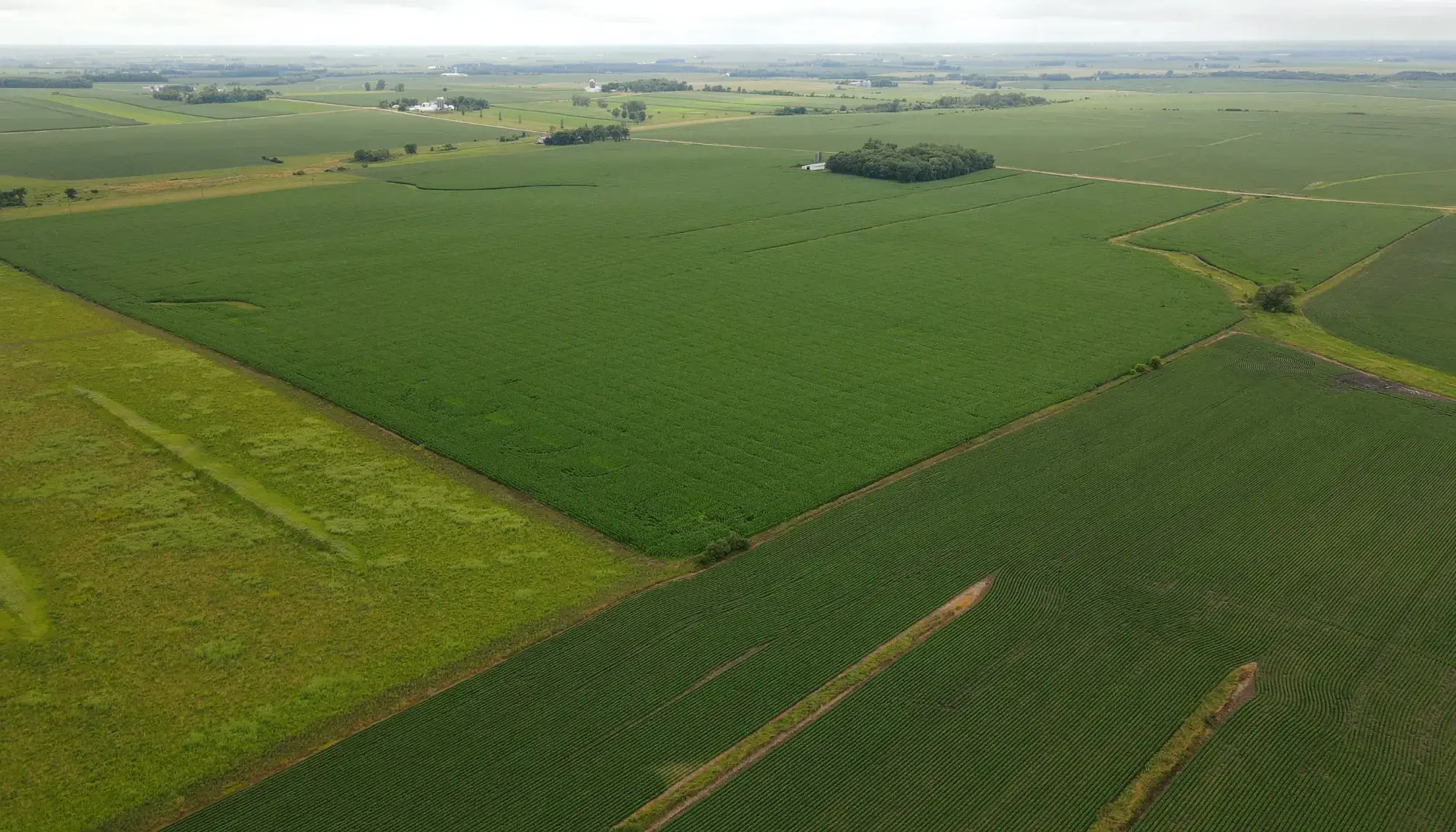 farmland image