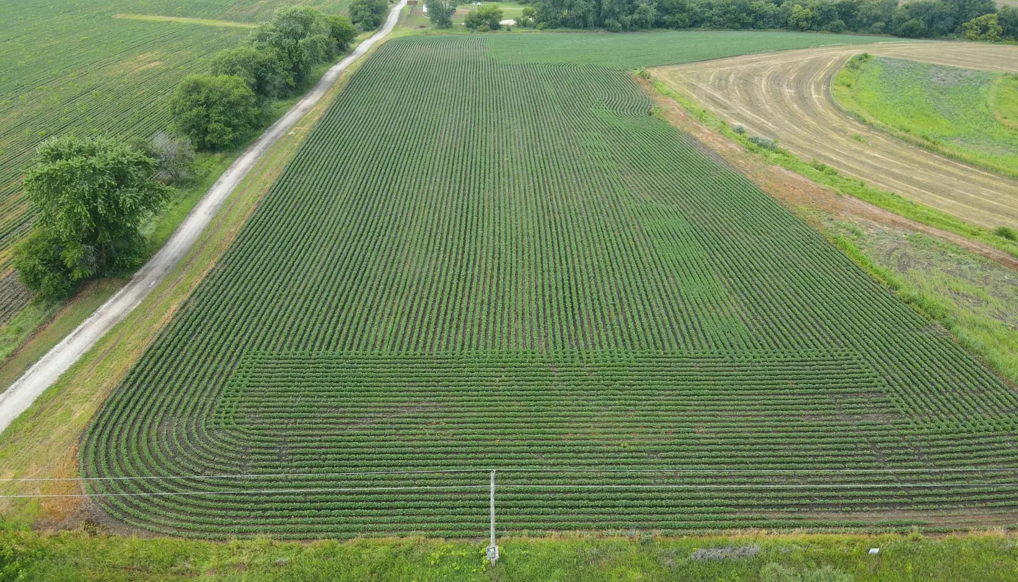 image of farmland to be sold