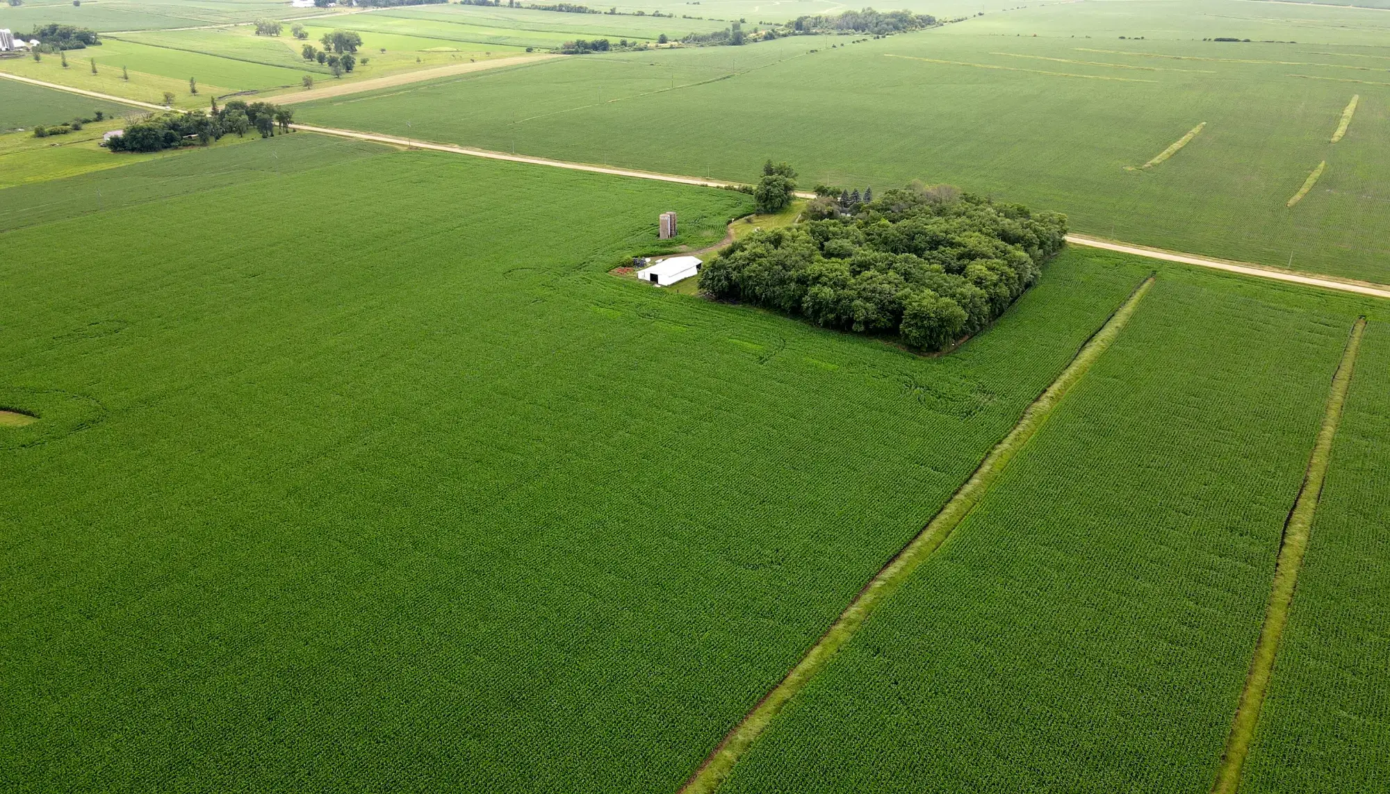 image of farmland to be sold