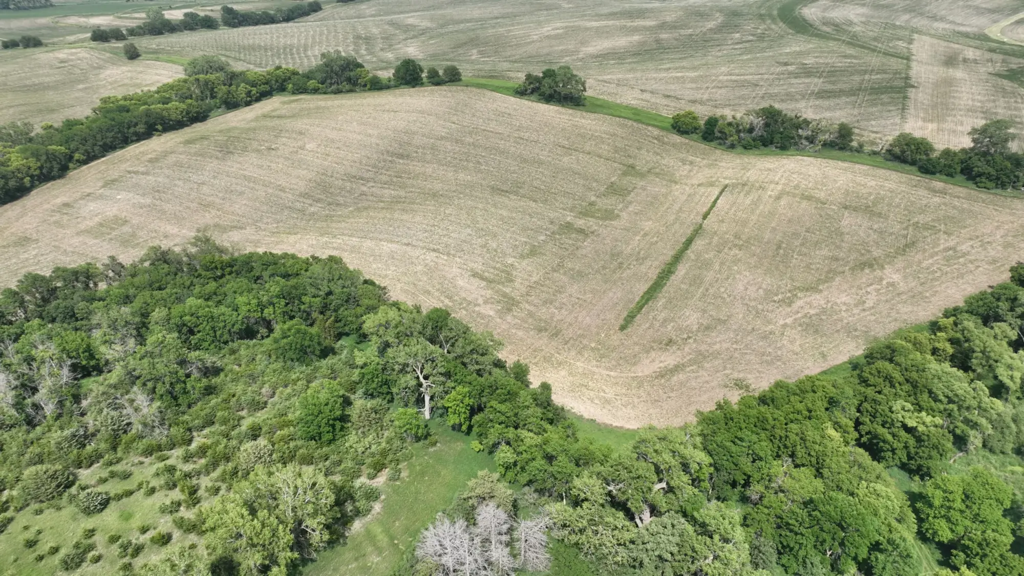 image of farmland to be sold