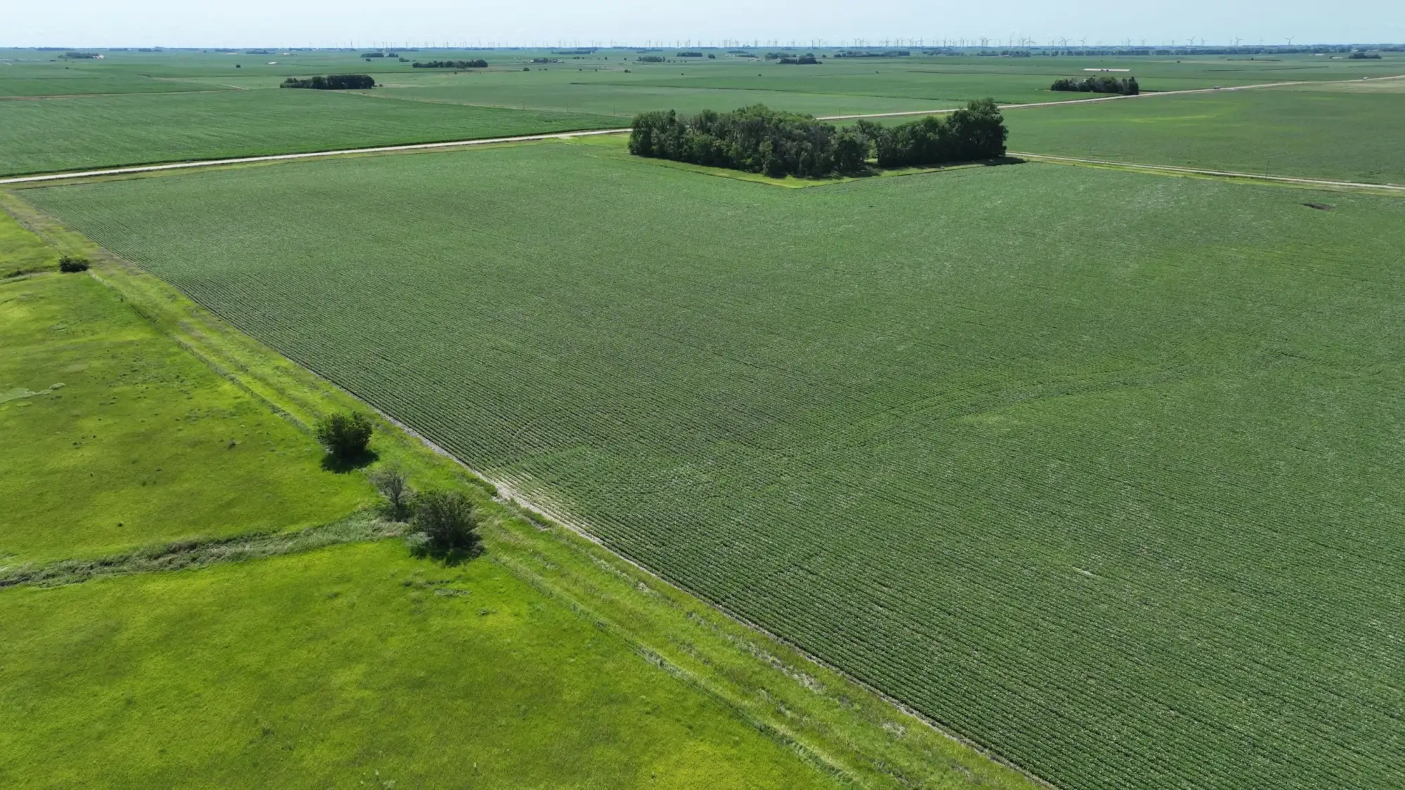 farmland image