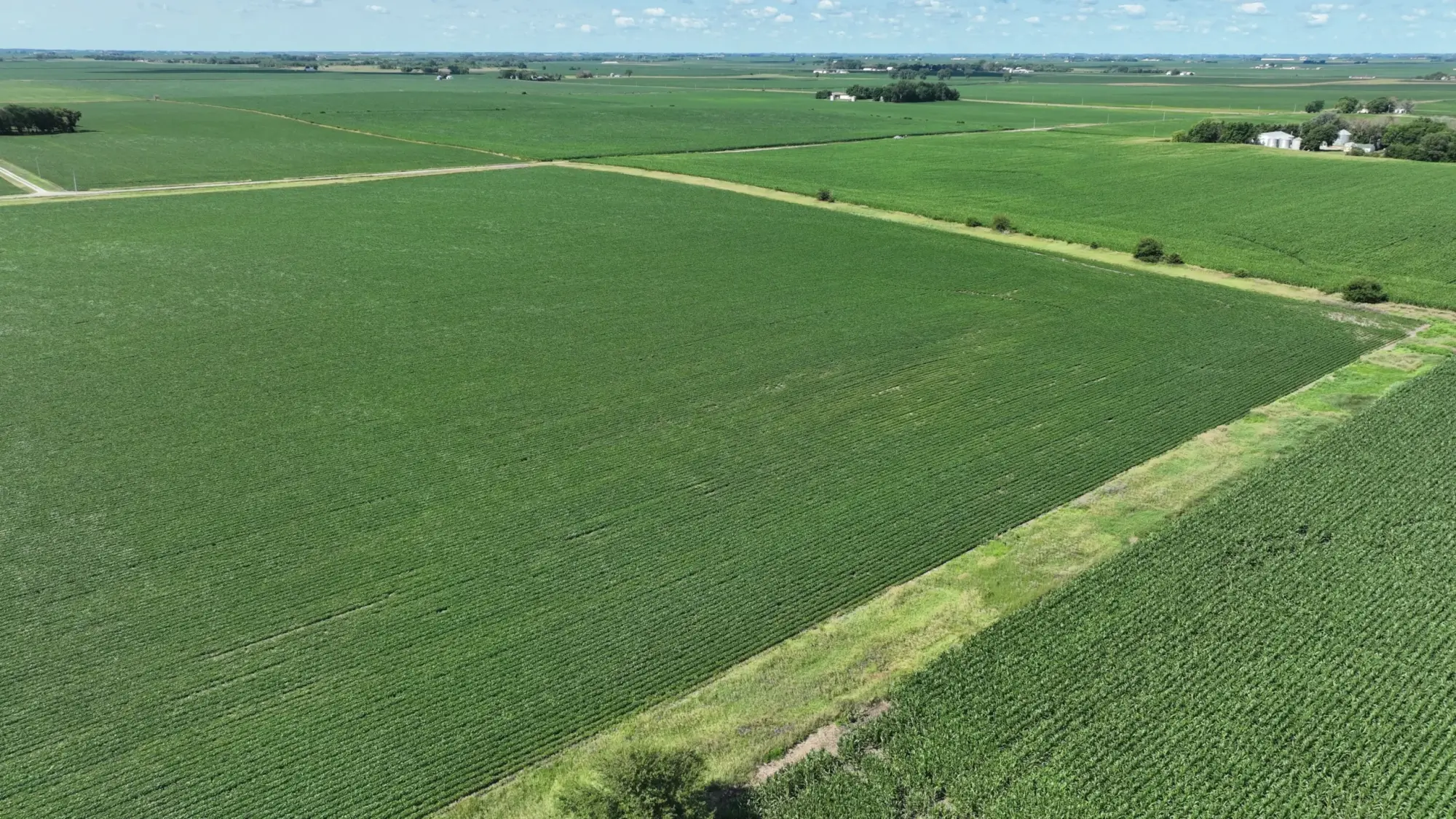 image of farmland to be sold