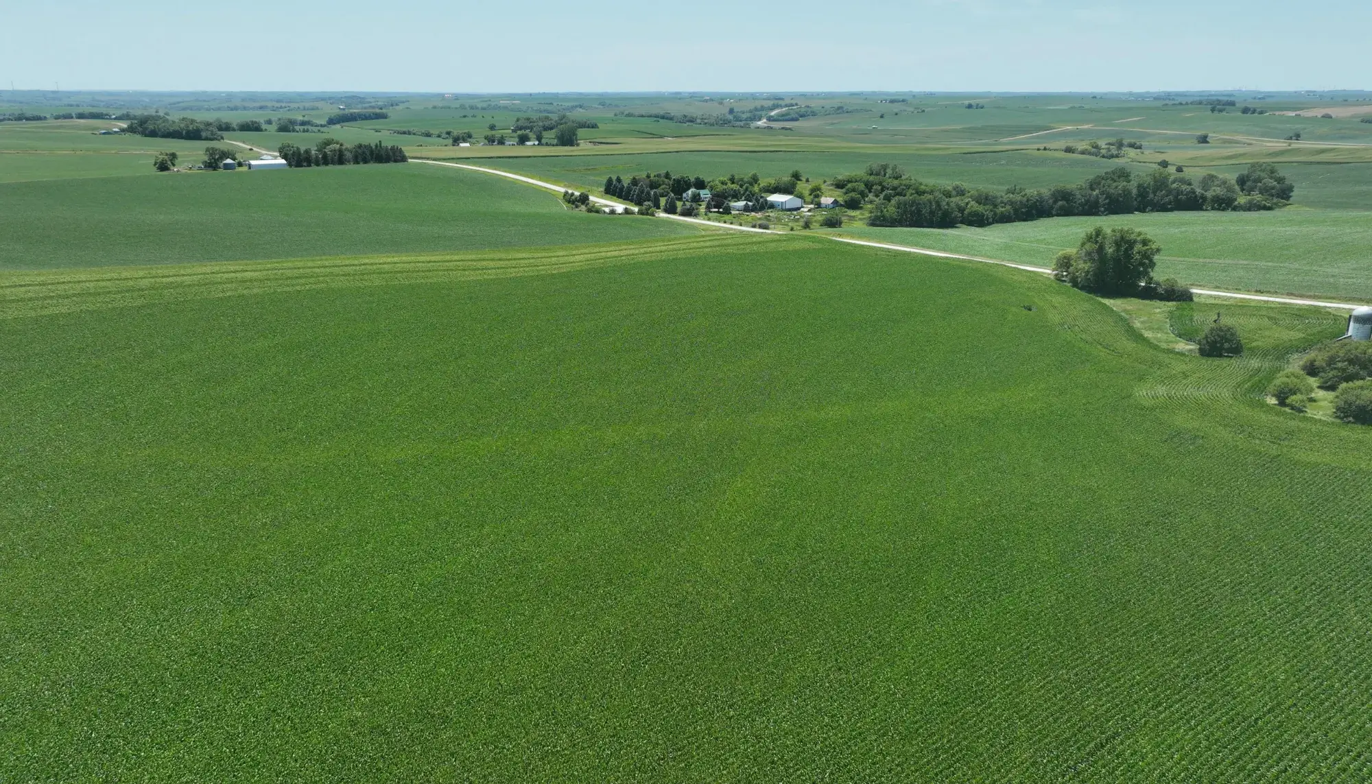 image of farmland to be sold