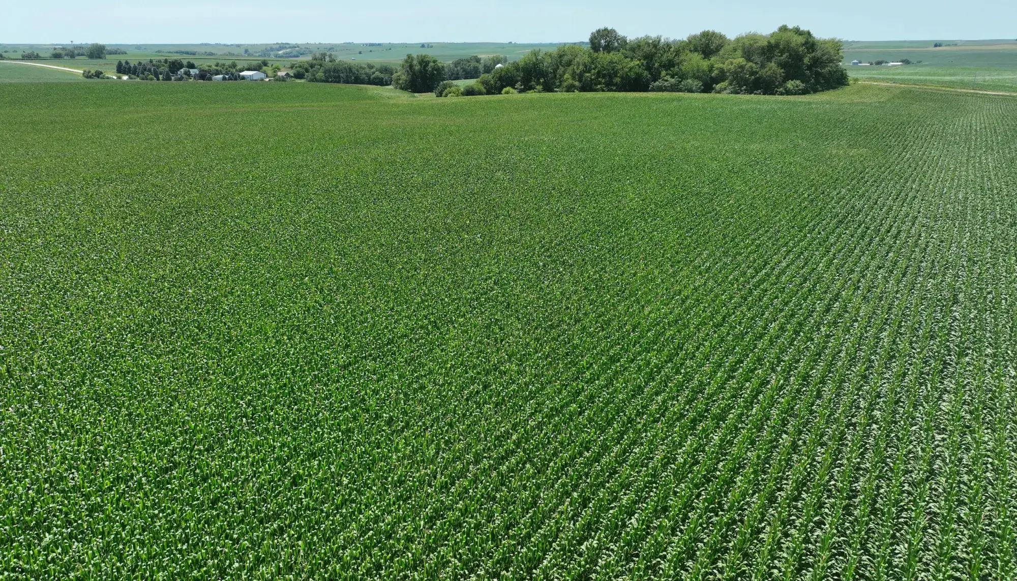 farmland image