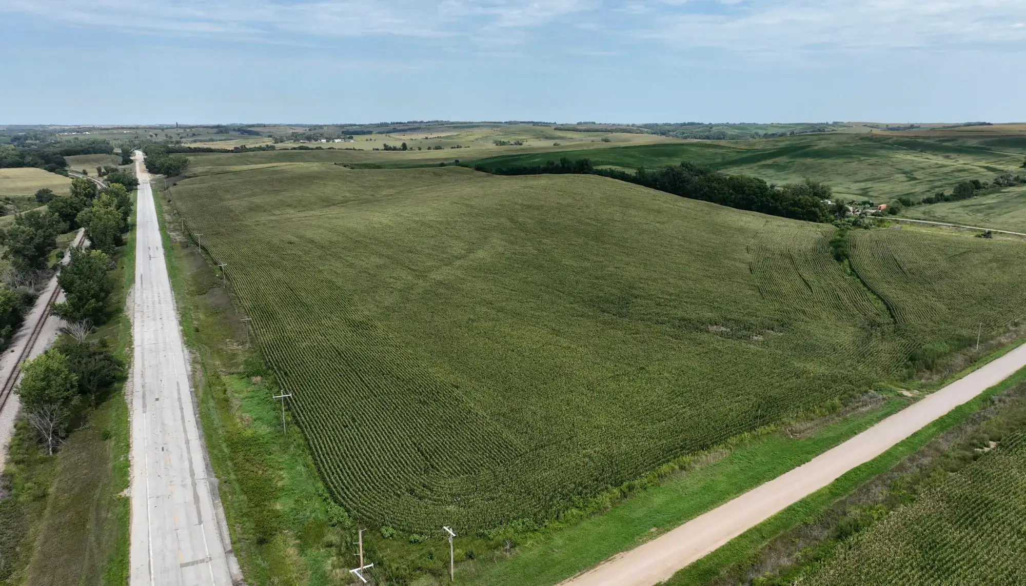 image of farmland to be sold