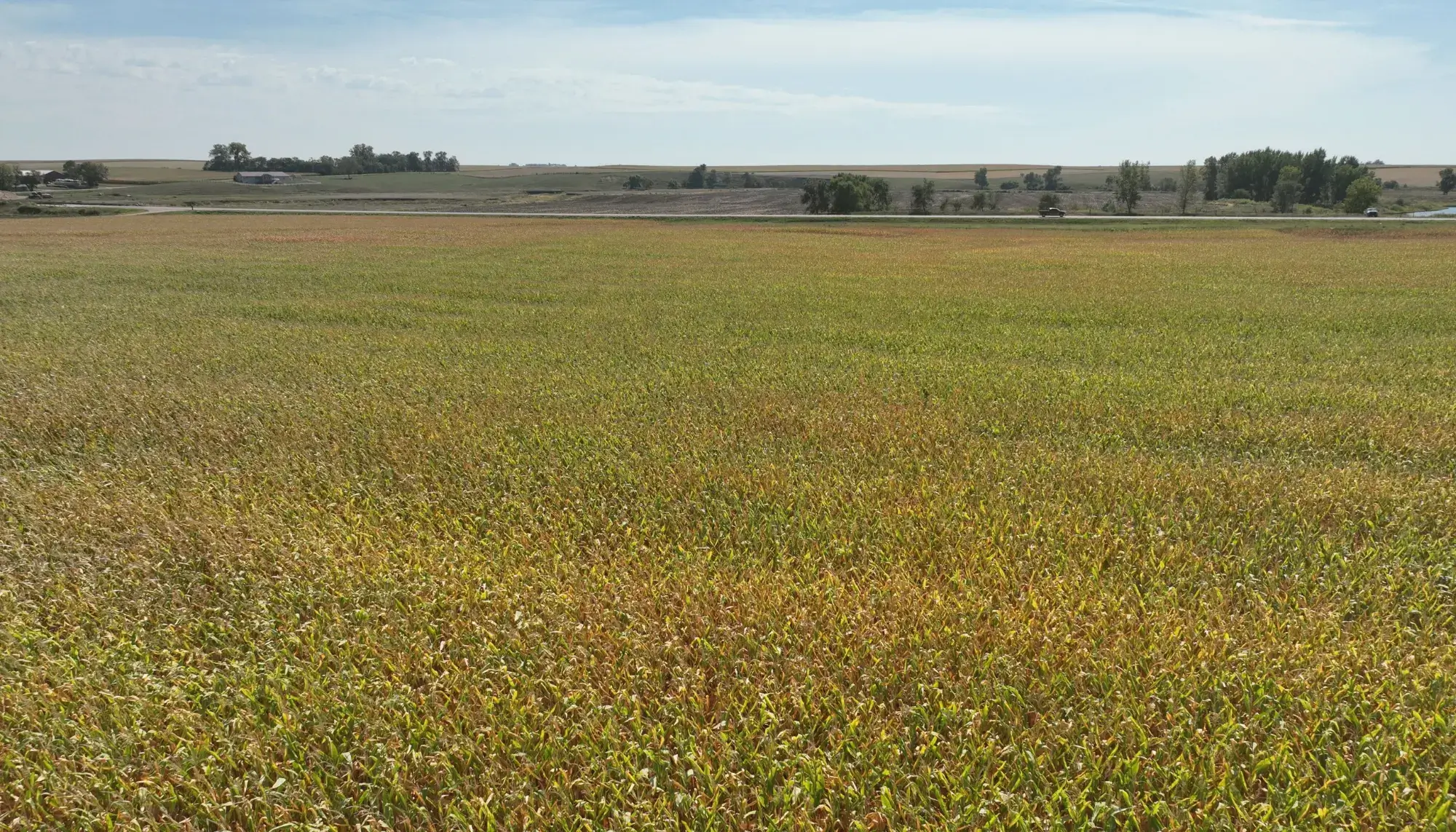 farmland image