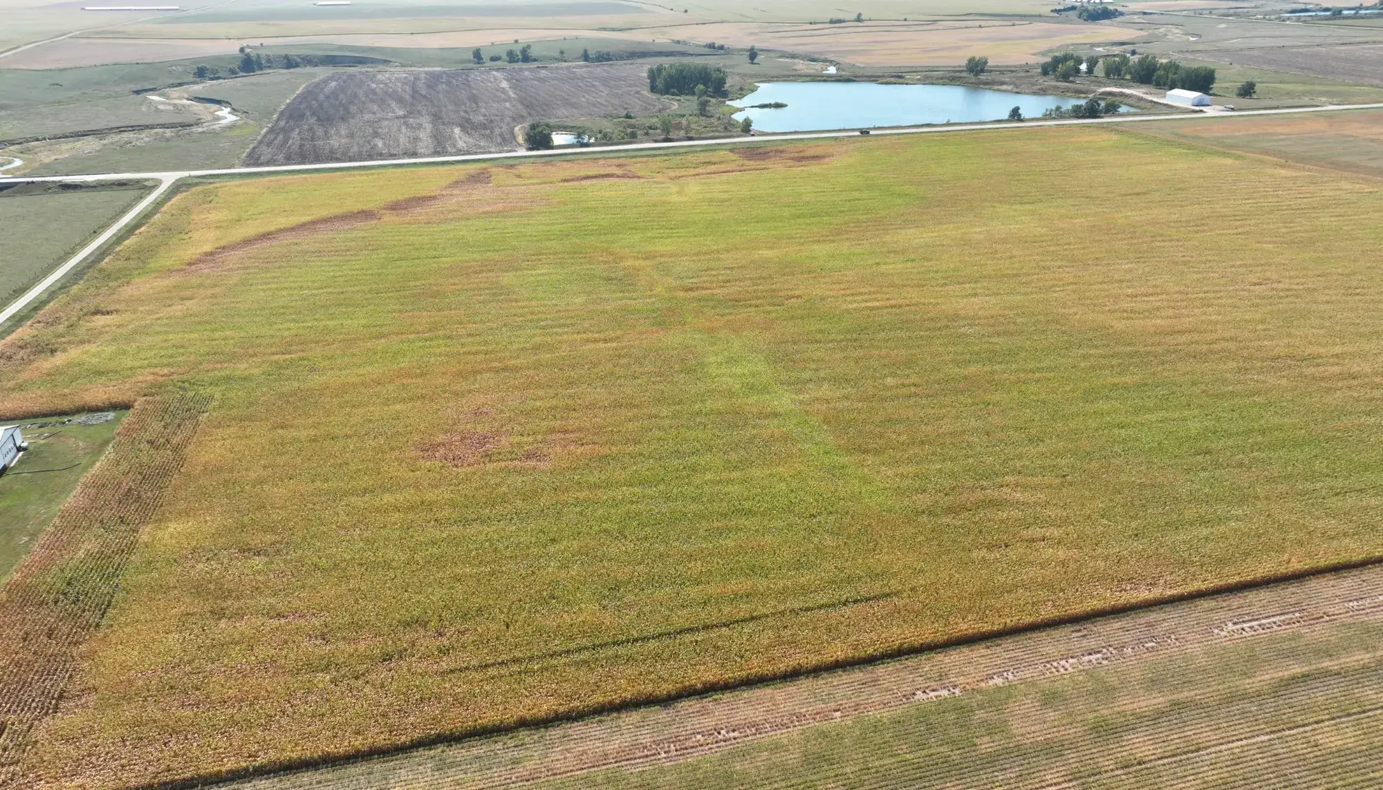 image of farmland to be sold