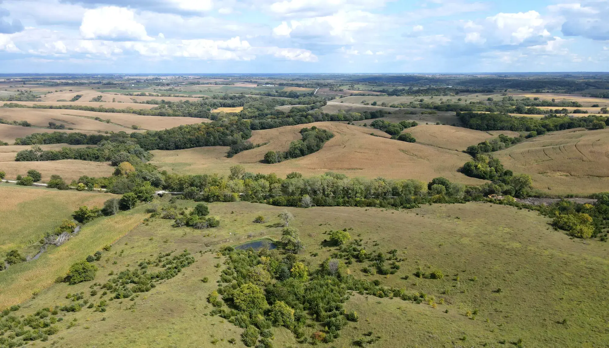 image of farmland to be sold