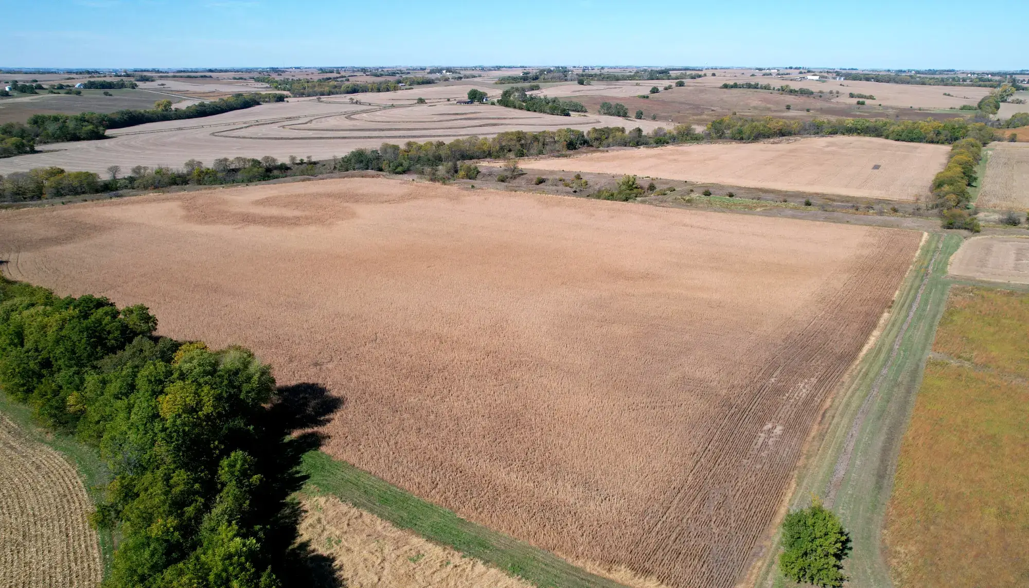 image of farmland to be sold