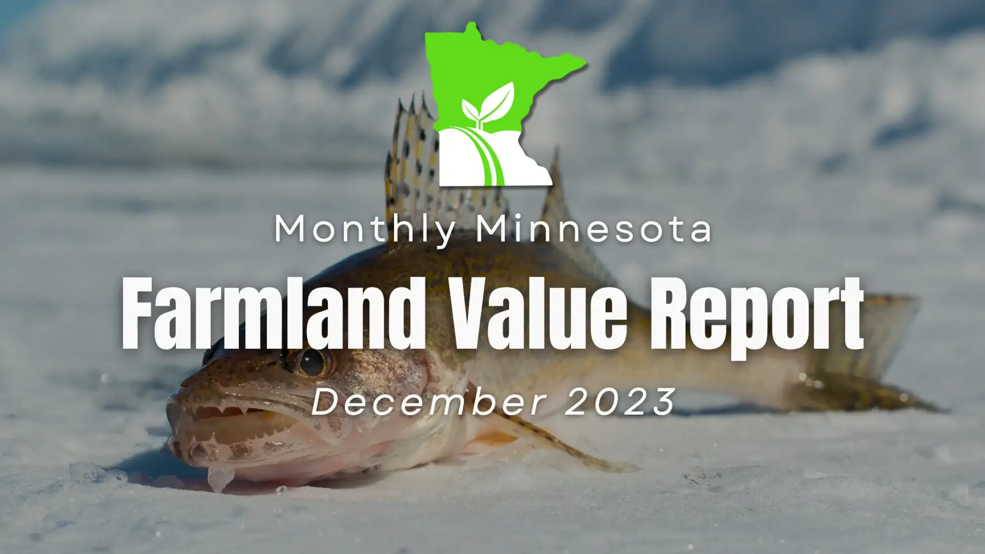 Minnesota Farmland Value Monthly Report December 2023