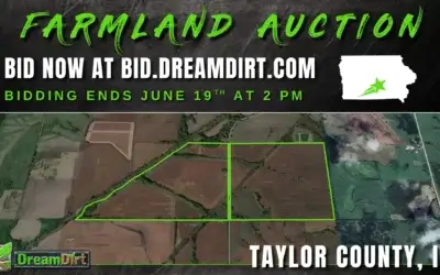 Farmland Auction in Taylor County, Iowa | 316.16 Acres