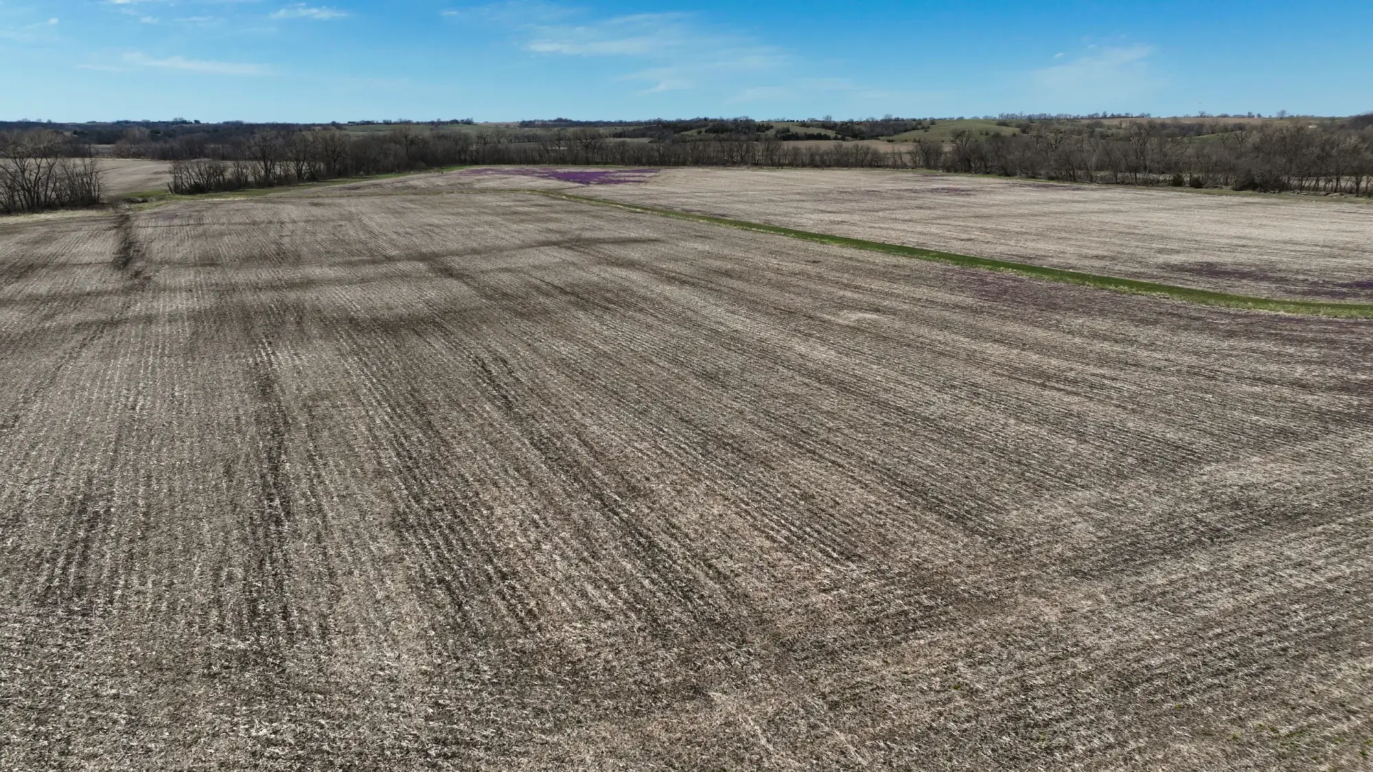 Farmland For Sale in Taylor County, Iowa