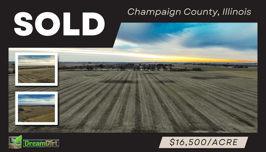 Farmland auction company in champaign county Illinois