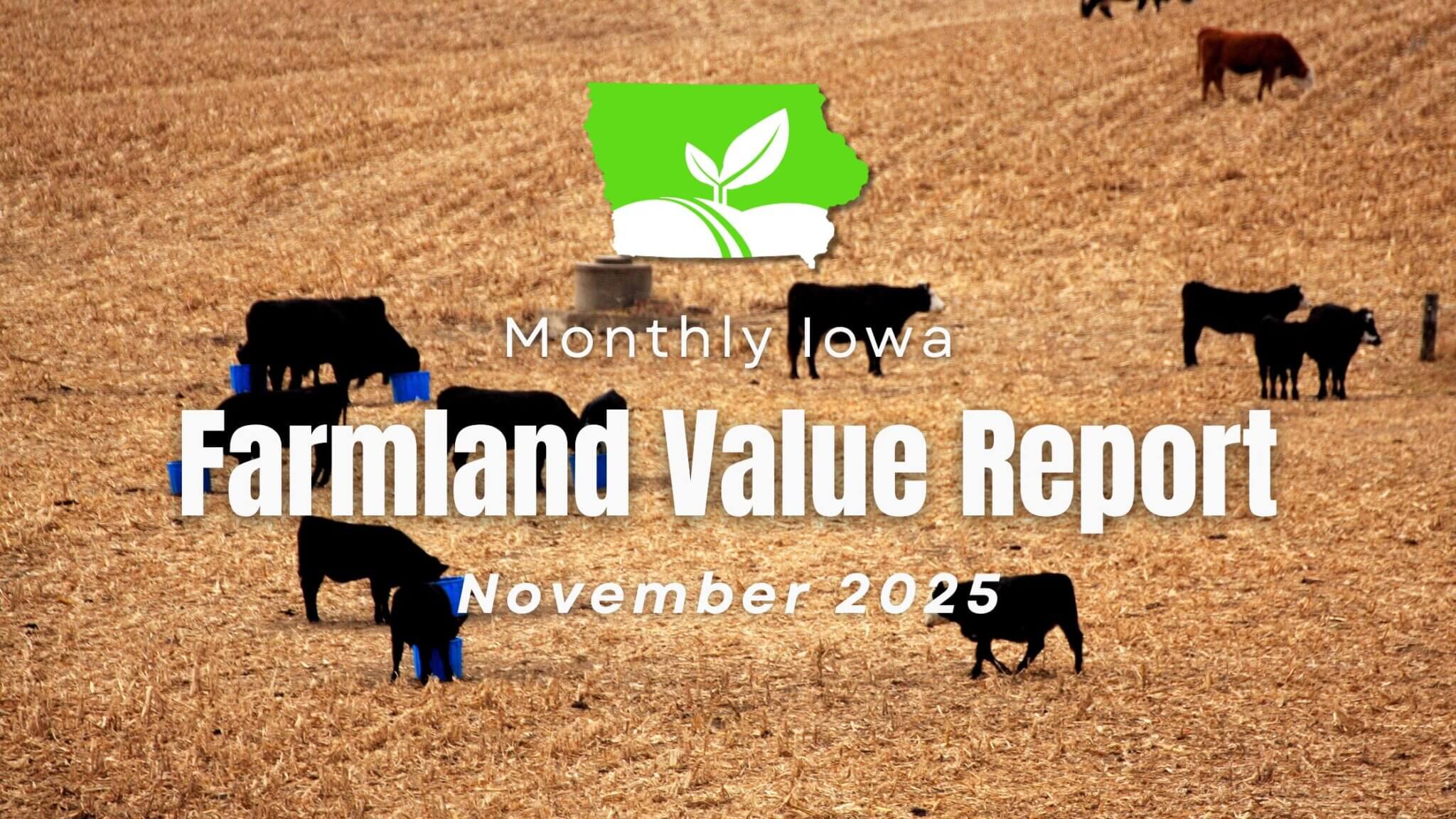 Iowa Farmland Market Update November 2025: Prices & Trends